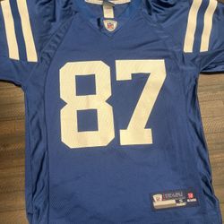 Vintage Reggie Wayne Jersey