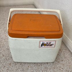 Coleman Ice Chest / Violet