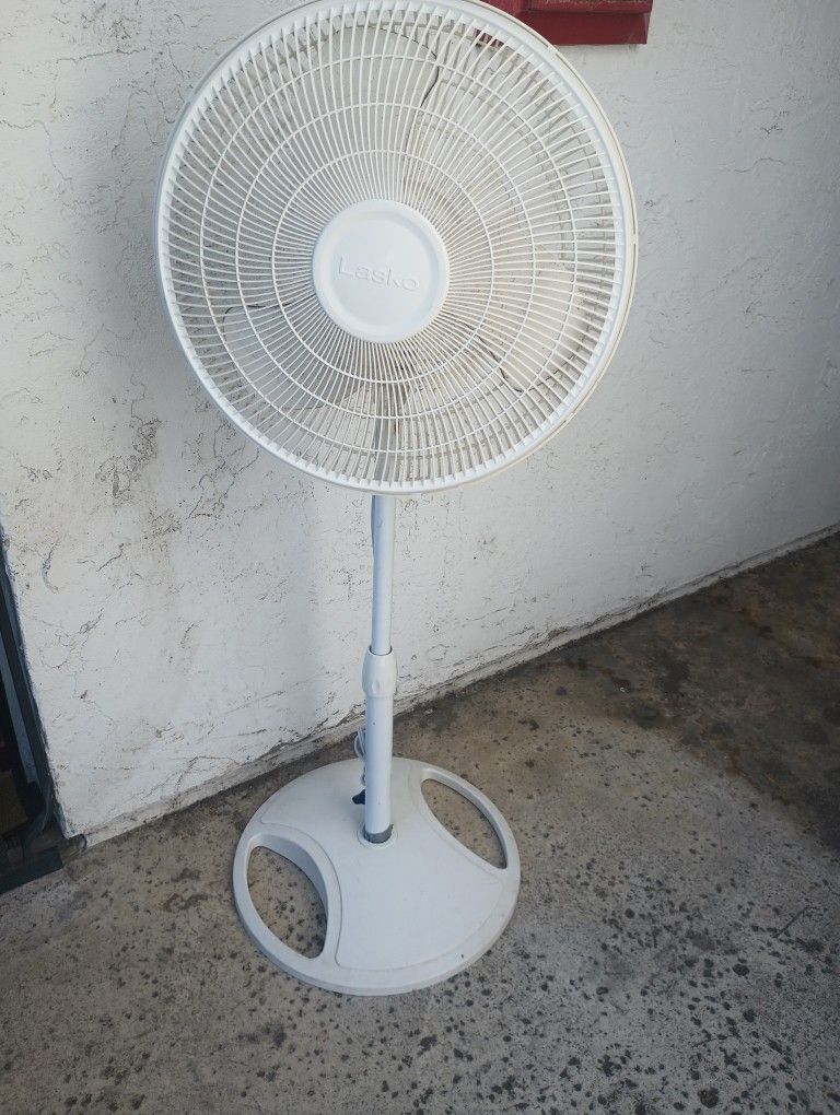 Oscillating Fan