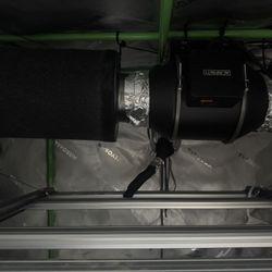 Grow Tent And Lights 