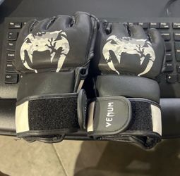 MMA Venum Gloves