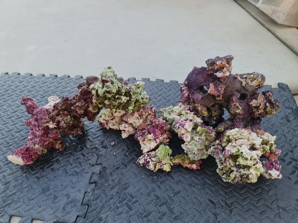 Reef Live Rocks About 65 Lbs for Sale in Chino Hills, CA - OfferUp