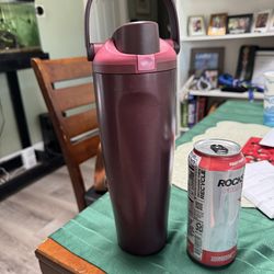 Insulated Water Bottle w/ Handle Lid (Great Condition!)