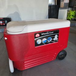 Igloo Cooler 38 Qt