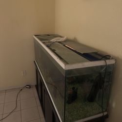 165 Gallon Fish Tank Everything Included