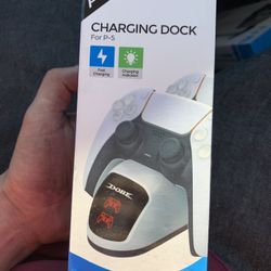 PS5 Control Charger