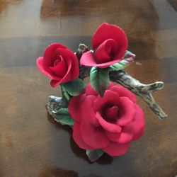 Valentine Roses