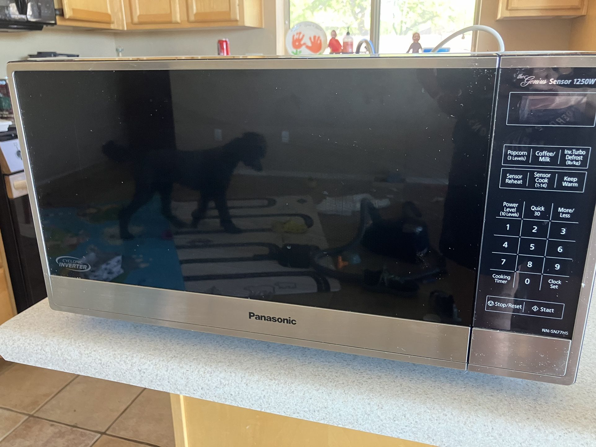 Panasonic Countertop Microwave