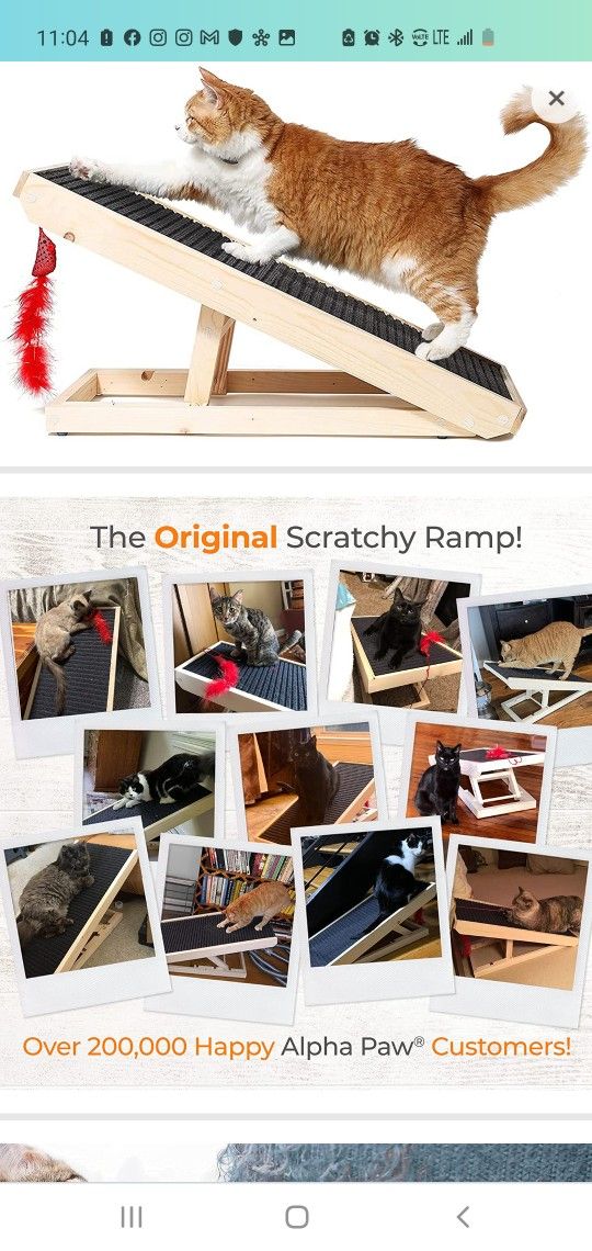 $65 ALPHA PAW IN CAT SCRATCH RAMP