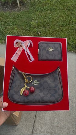 Coach bags Terri