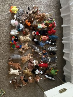 ty Beanie Baby Collection