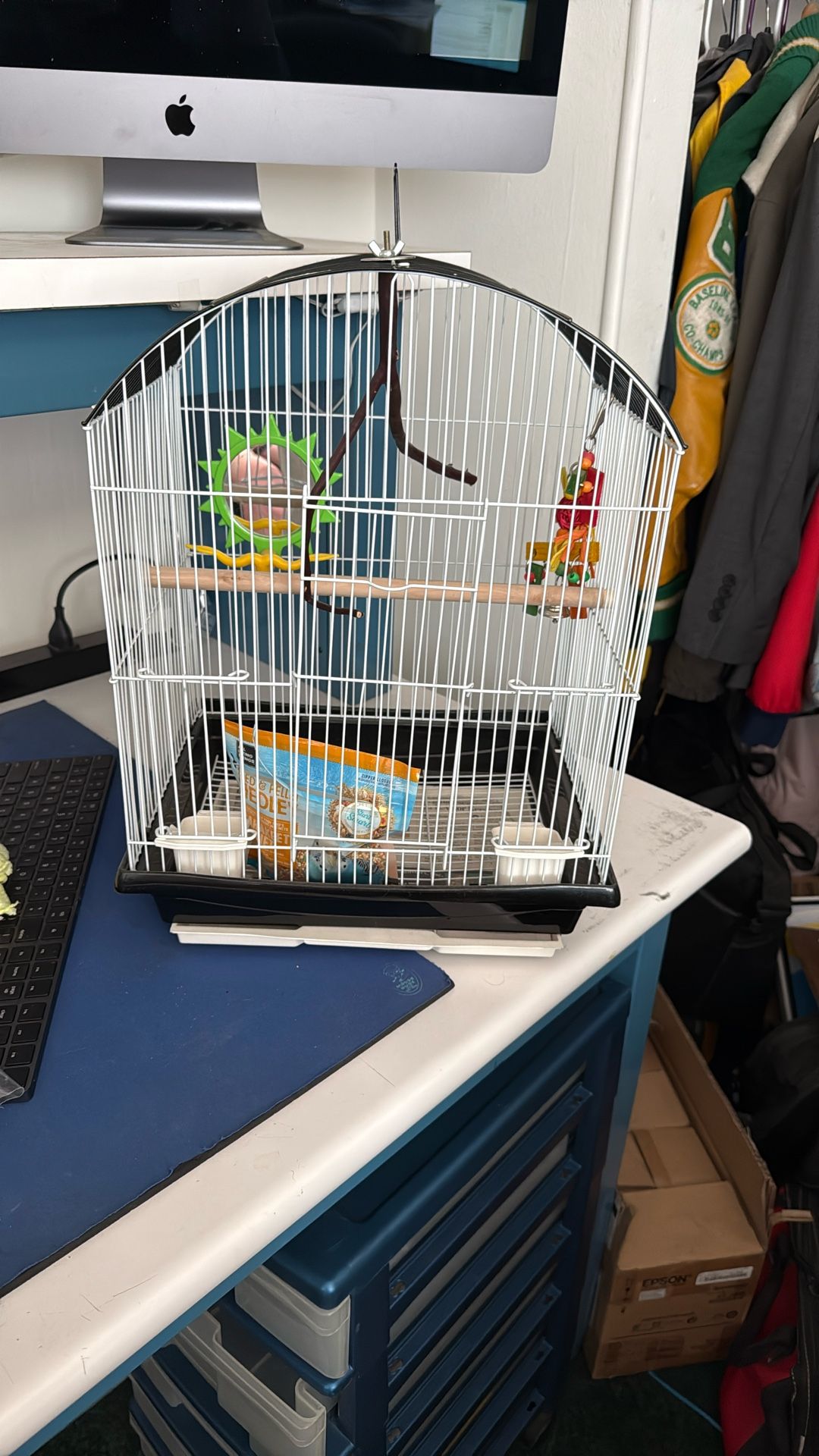 Bird cage