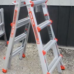 Little Giant Heavy Duty Ladder 