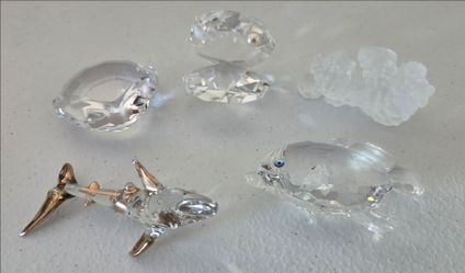 Swarovski SCS Membership Gift Scallop Shell
