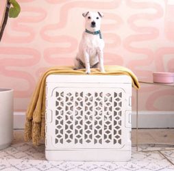 Collapsible Kindtail Kennel - Medium - with Custom Fit Primo Pad