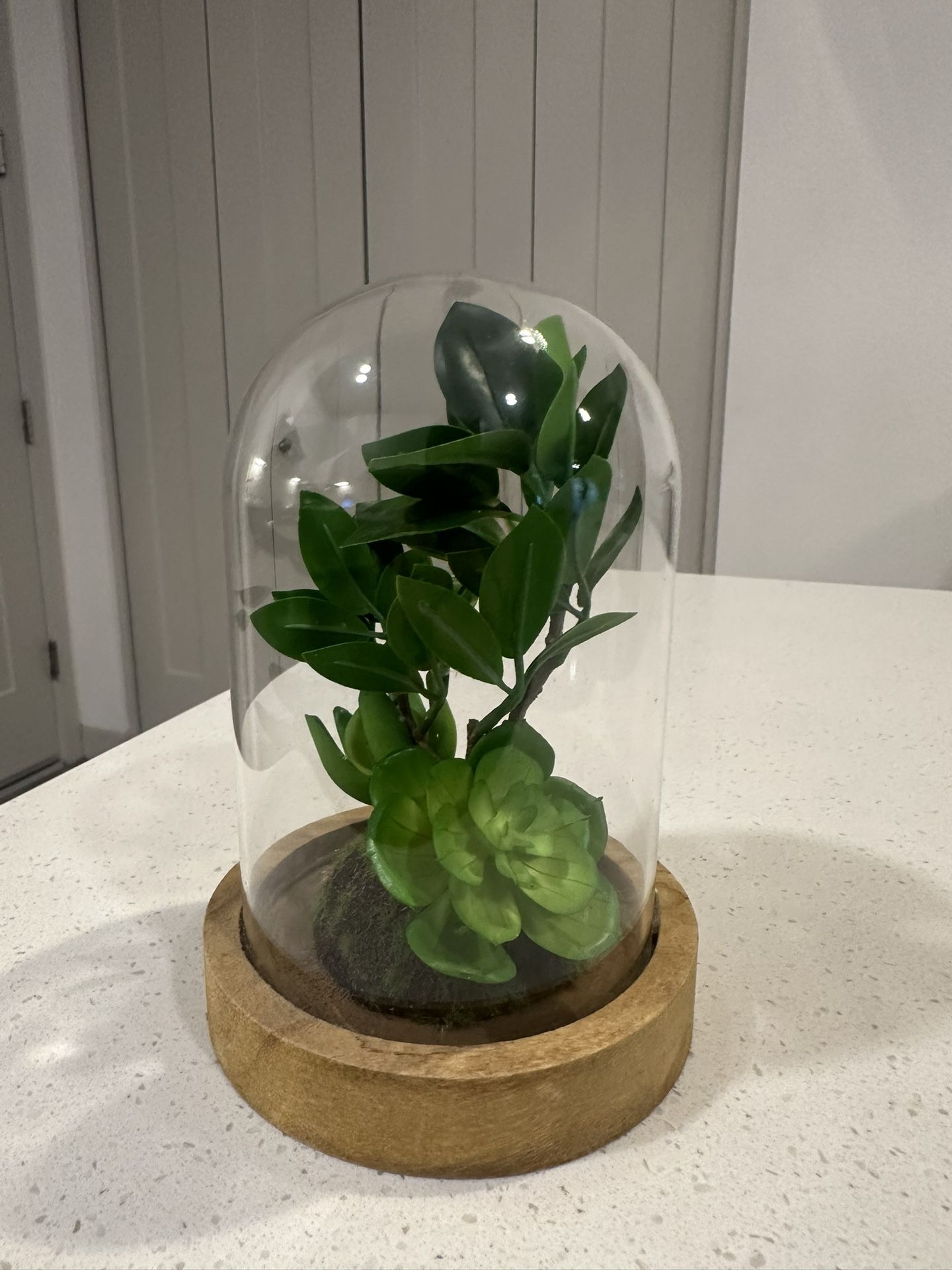 Faux Small Atrium