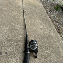 Fishing Pole And Reel