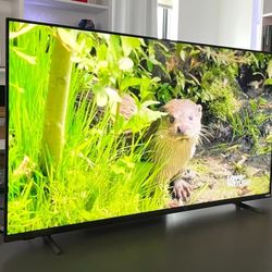Vizio 50" 4K TV - M50QXM
