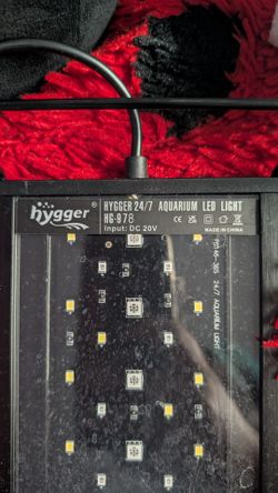 Hygger 24/7 Aquarium Light