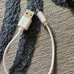 Apple IPhone Short Lightning Cable 