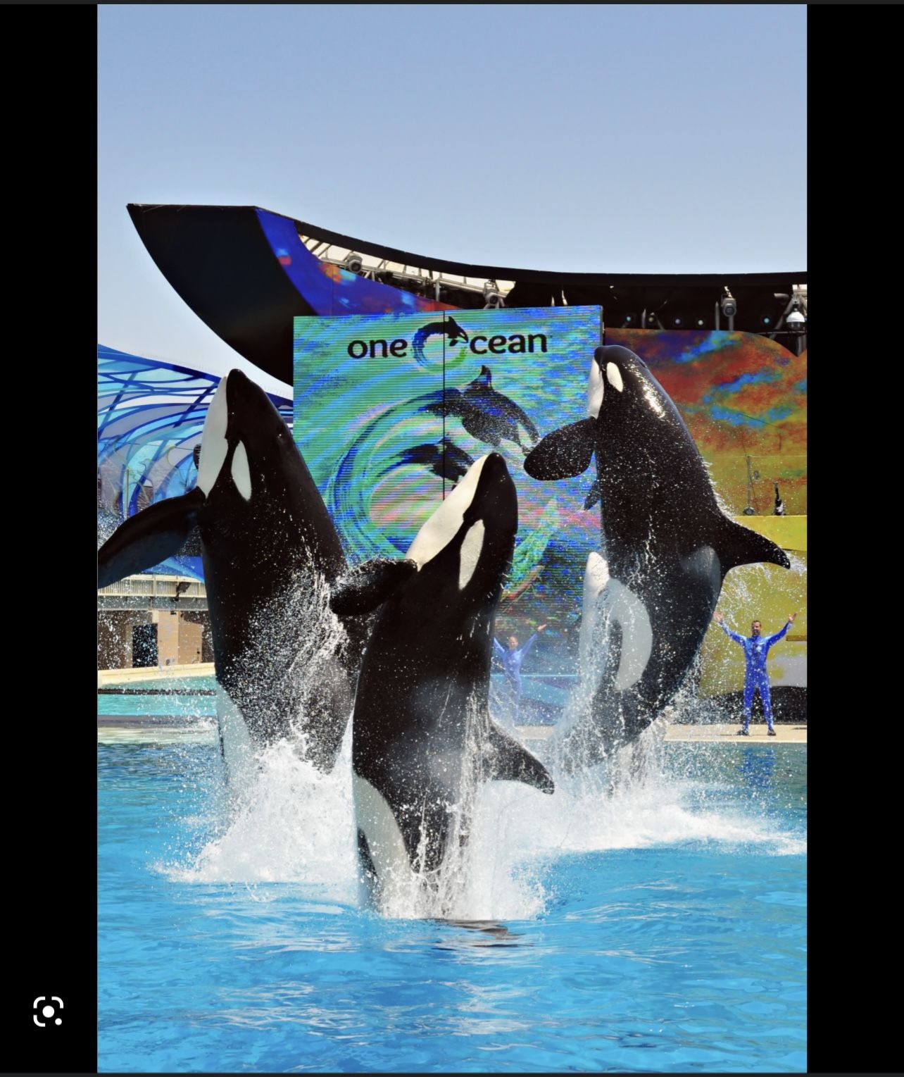 6 Digital Sea World Tickets