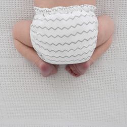 SmartNappy Cloth Diaper With Inserts