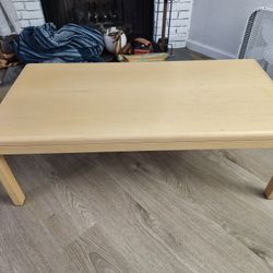 48x24in Coffee Table