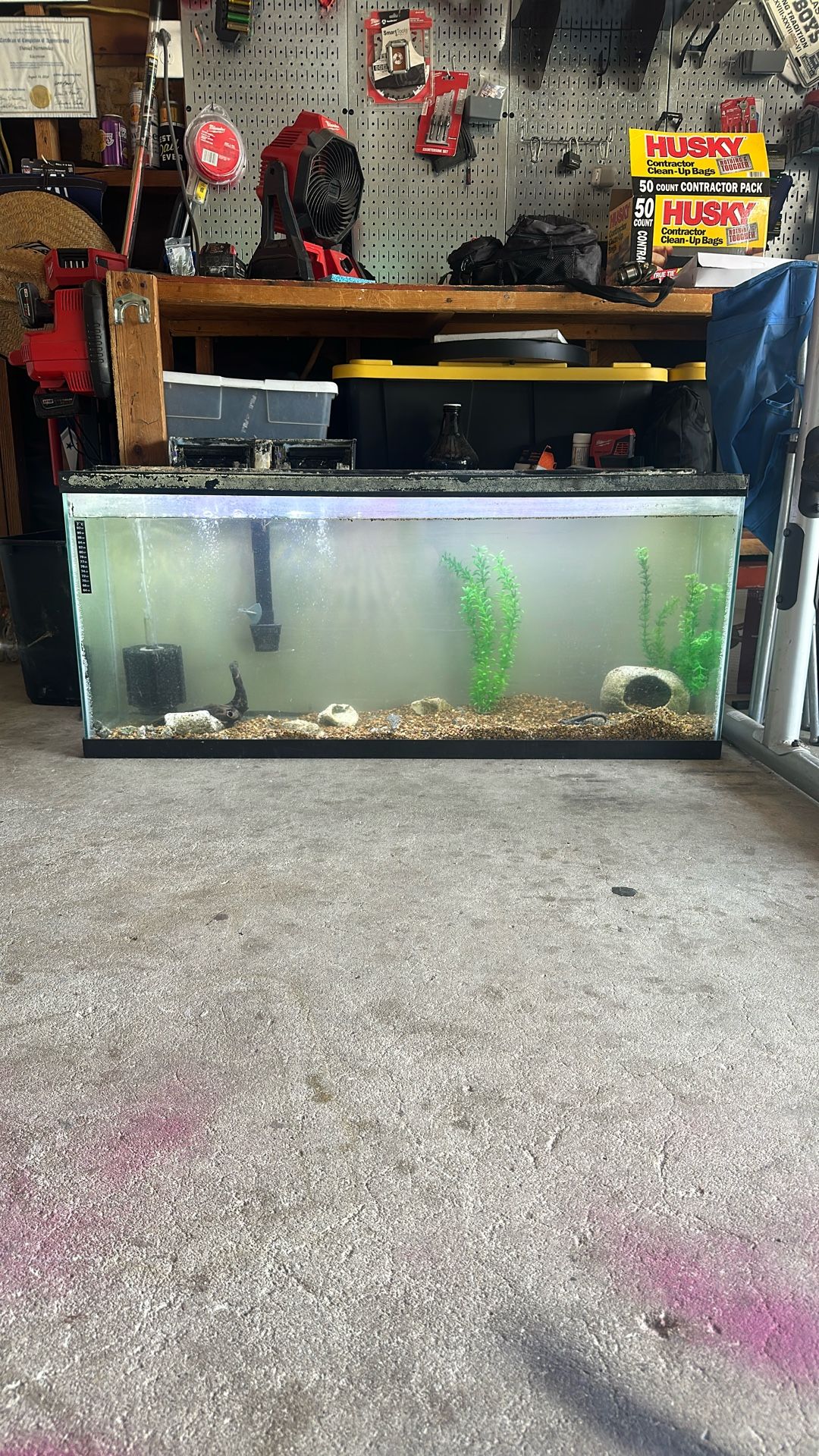 Fish Tank