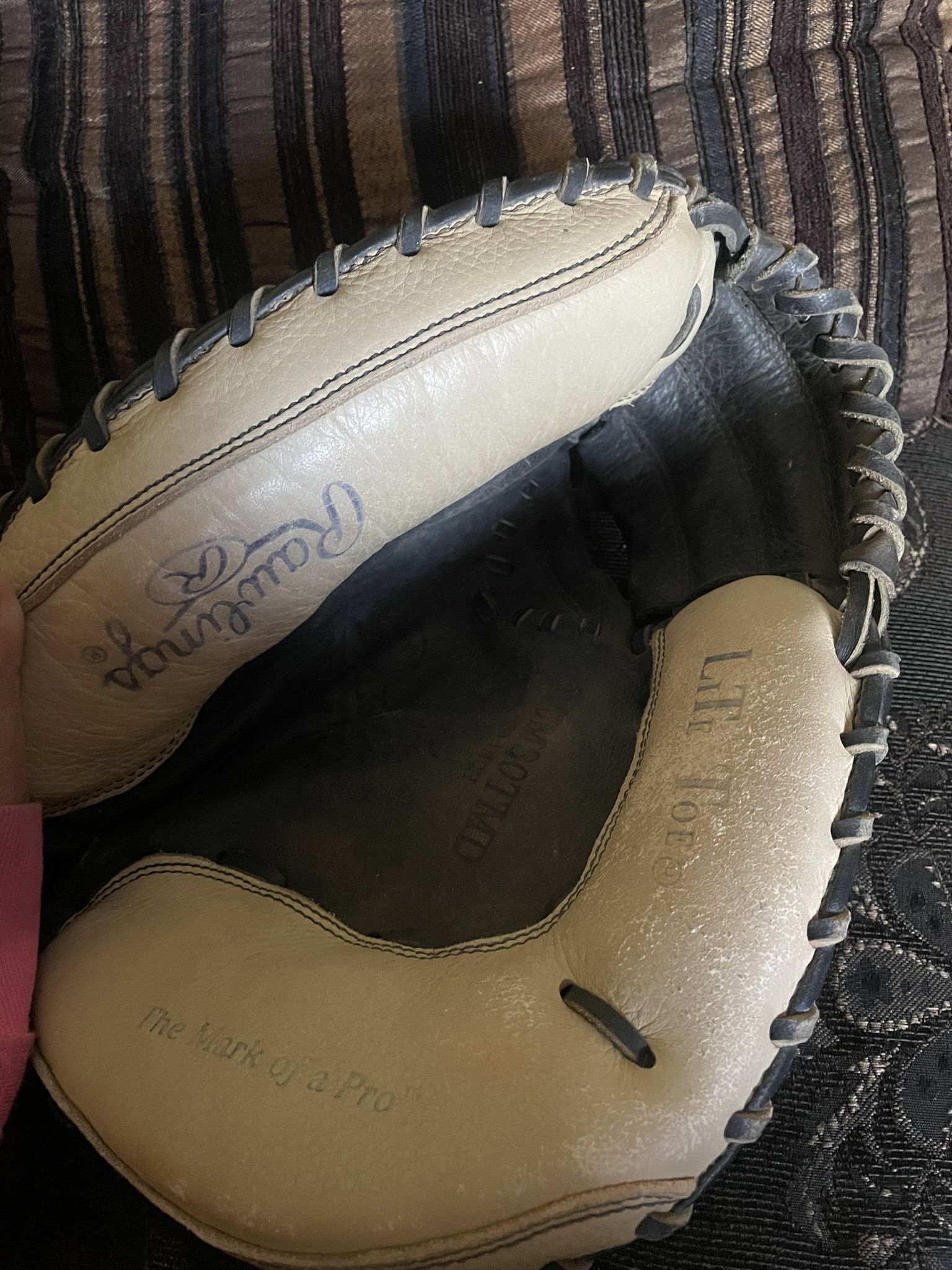 Catchers Mitt 