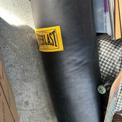 Everlast Punching Bag