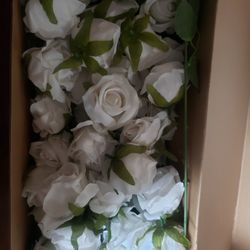 50 Roses With Stems 