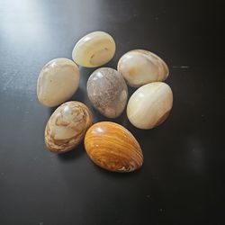 Hevos De Adorno 