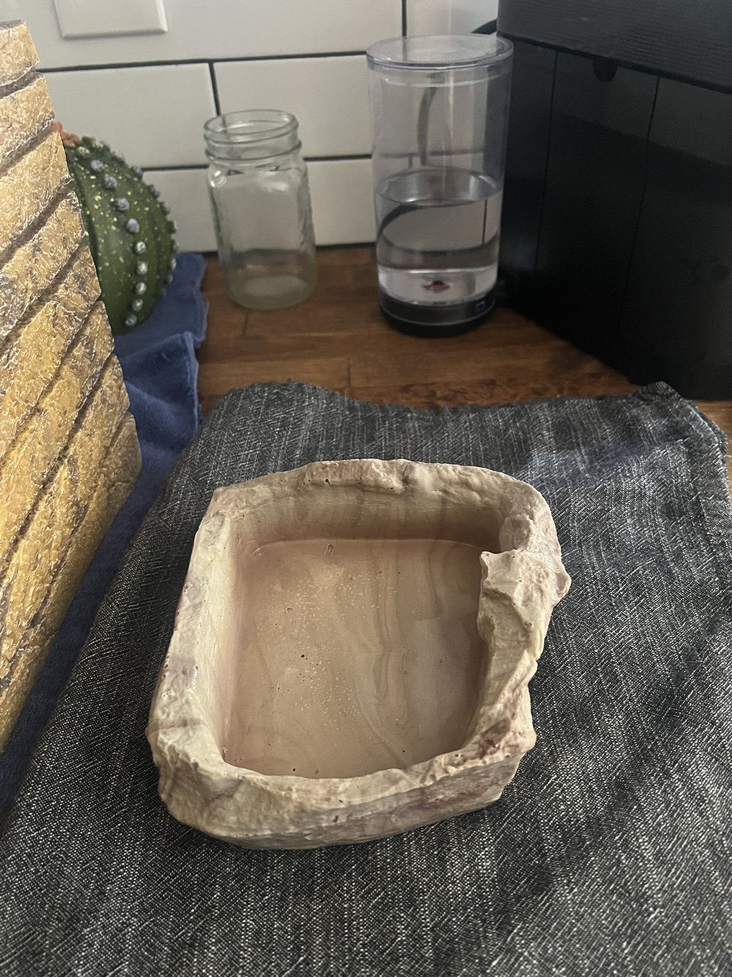 Bearded Dragon/Reptile Water or Food Bowl