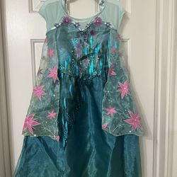Girls Frozen Elsa Costume/Dress
