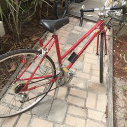 Vintage Thin Wheeled Bike 