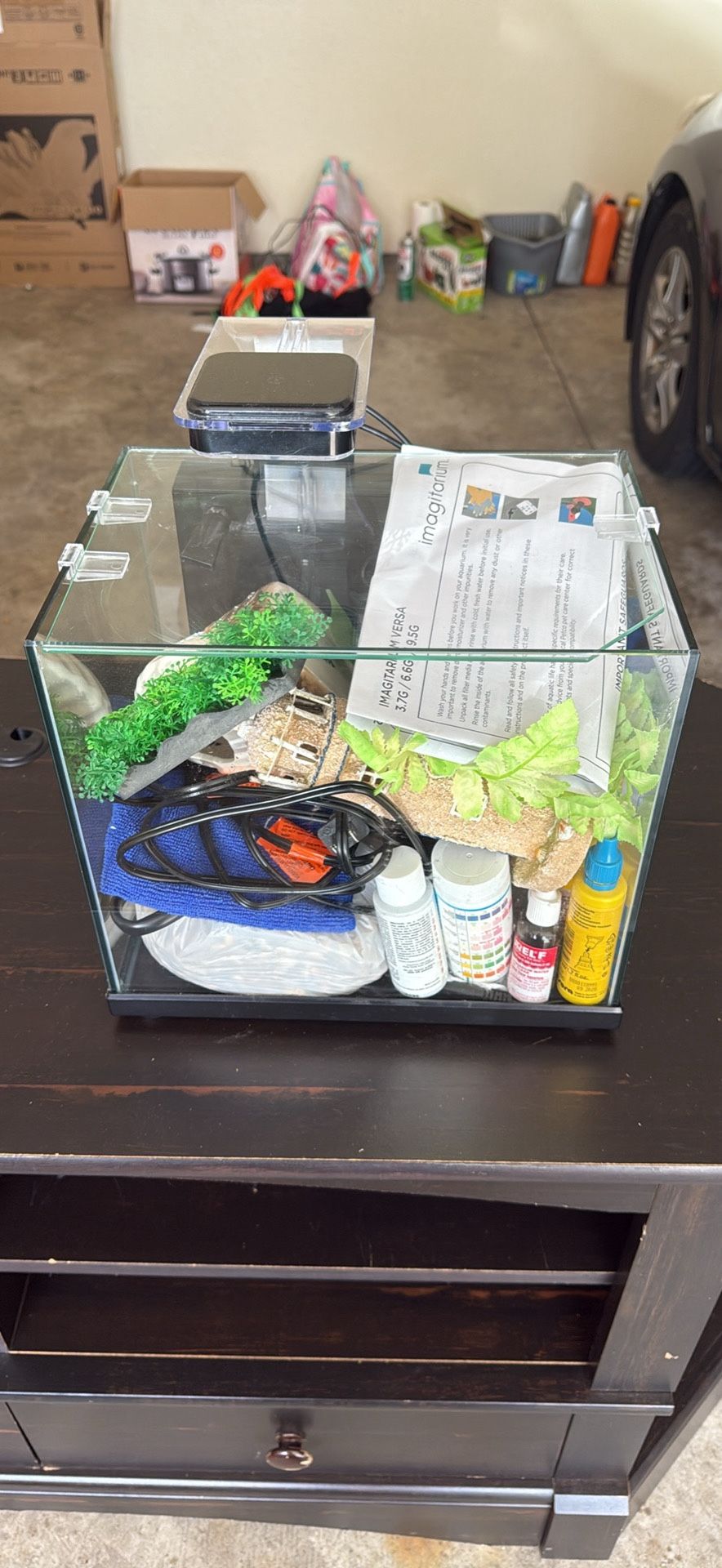 Beta Fish Tank (All You Need Is The Fish!)