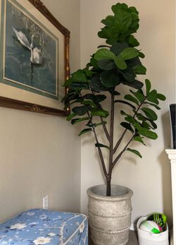 Faux fiddle leaf fig