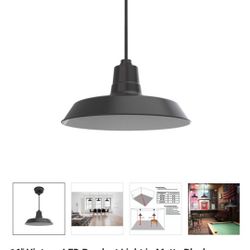 16" Light Fixture (Built In LED Bulb)