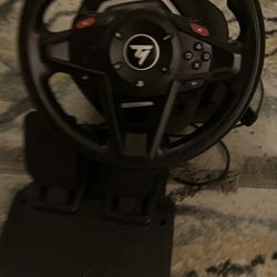 thrust master racing wheel