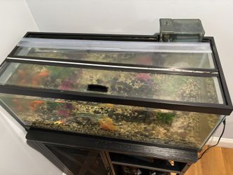 Aquarium Tank