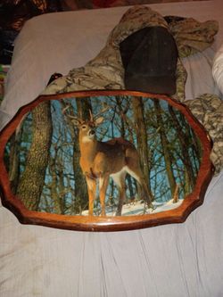 Deer picture