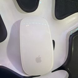 Apple Magic Mouse With Case