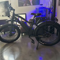 Area 13 Blackbird E Bike