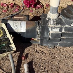 Hayward Pump & Filter Assembly 