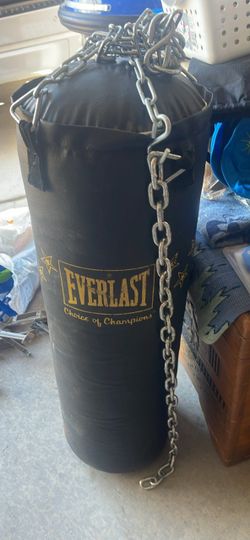 Everlast Heavy Punching Bag with Chains