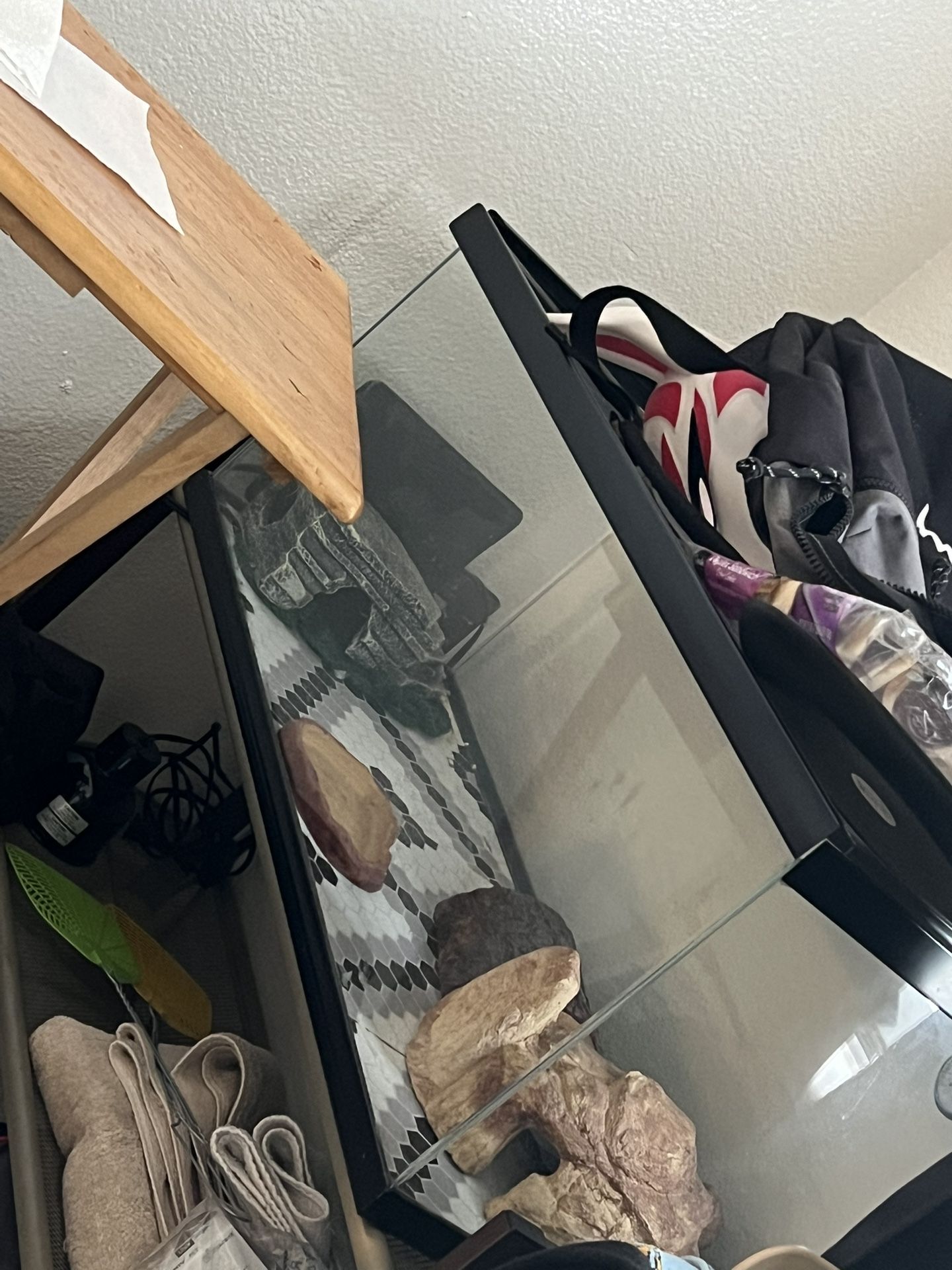 Old Leopard Gecko Tank/fish Tank