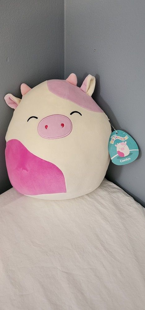 11" Caedyn The Pink Spotted Cow SQUISHMALLOW. NWT