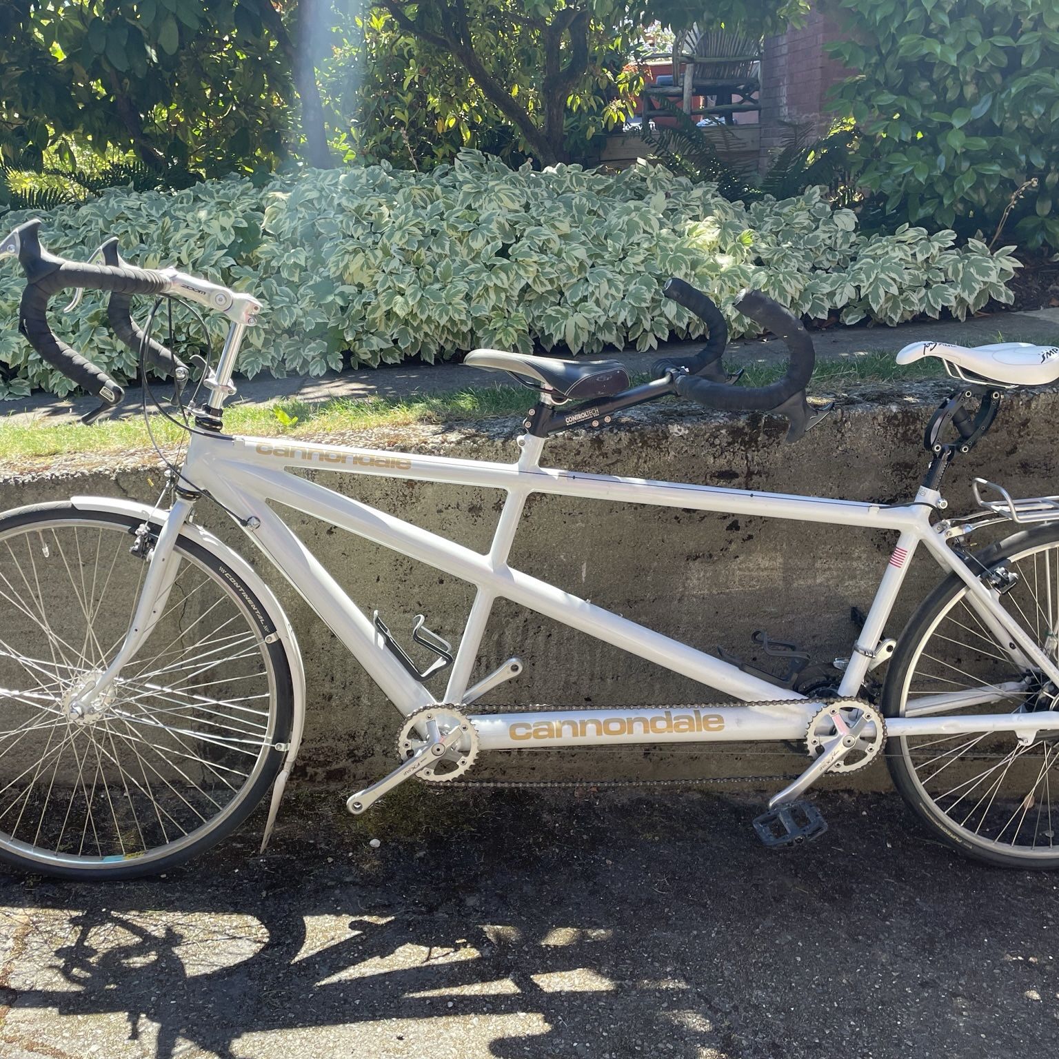 Cannondale tandem bike   **PRICE REDUCED**
