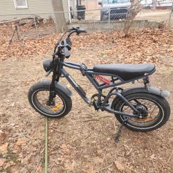 Electric Bike 