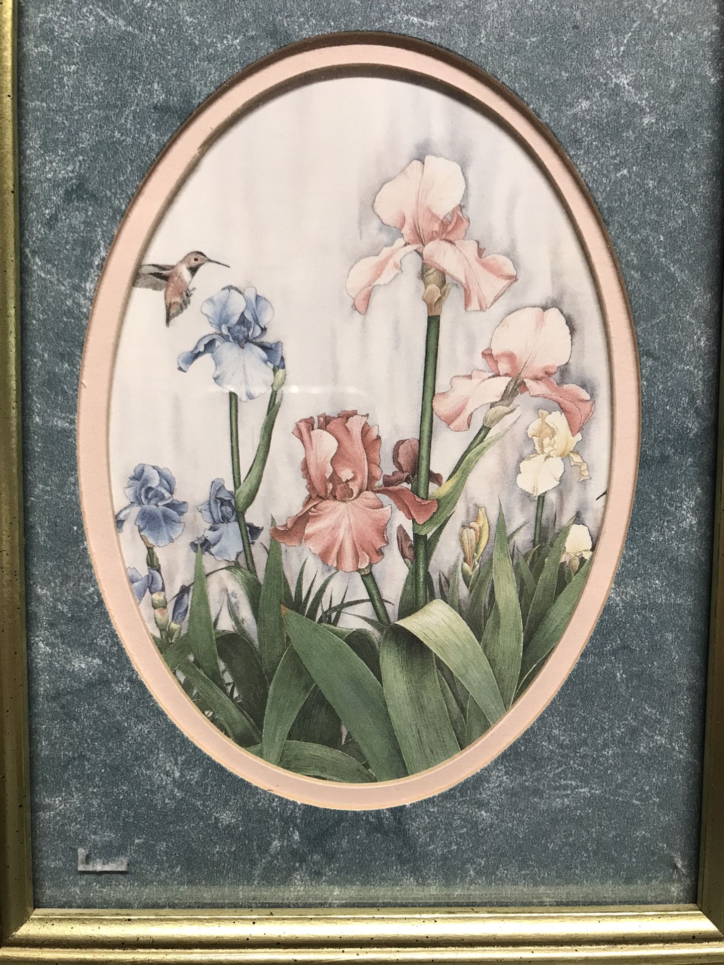 Iris And Hummingbird Art Framed 8x7 Inches 